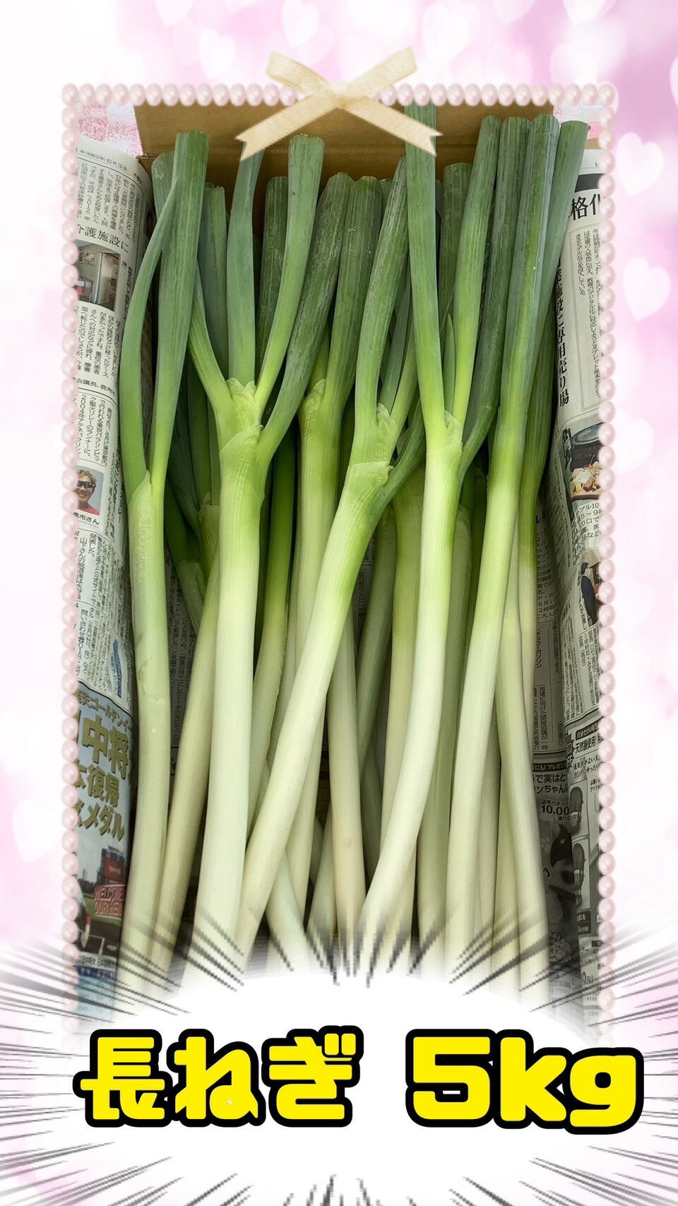 【ふるさと納税】丹精込めてつくった秋田県産「長ねぎ」 5kg　Lサイズ 葱 ねぎ 野菜【（株）KAMURO】[B1-13301]