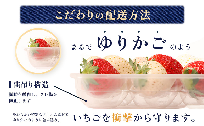 【受注後、随時発送！】【北海道産】ゆきいちご（白いちご） ゆきぼたん 2Pセット 250g×2 計500g【59001】_イメージ4