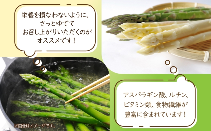 秀品 アスパラセット 計1kg ホワイトアスパラ 2L 3L グリーンアスパラ 各500g アスパラ アスパラガス 野菜 新鮮 旬の野菜 朝採れ フレッシュ 野菜 お取り寄せ グルメ 甘い 春 春野菜