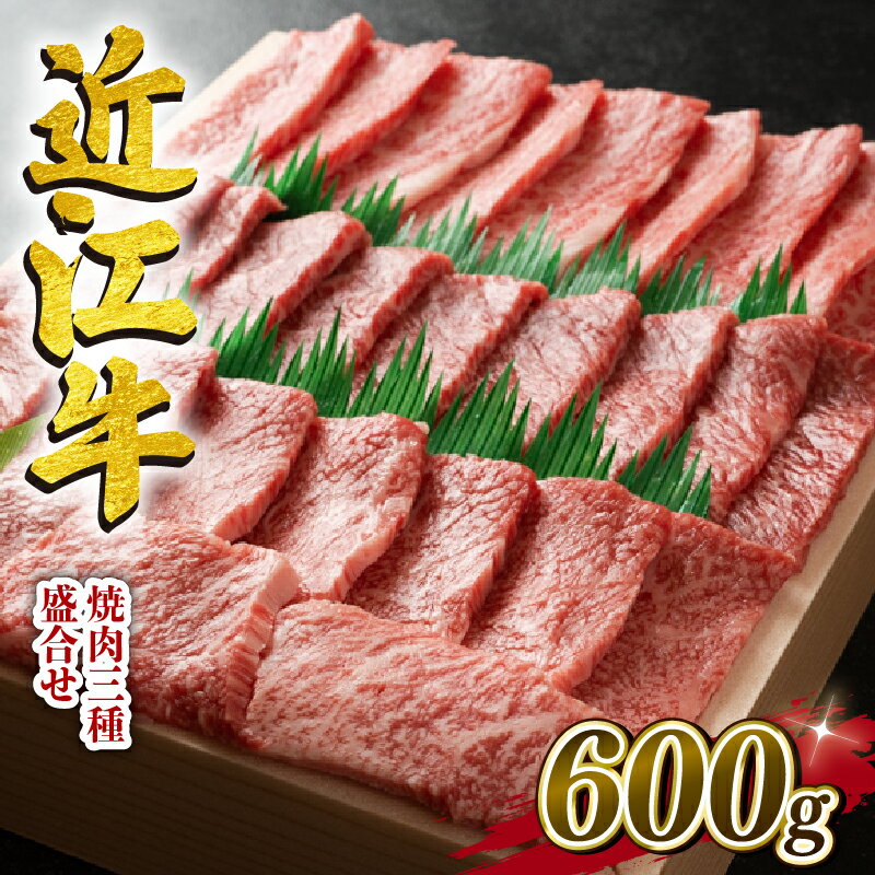 【ふるさと納税】 近江牛 牛肉 焼肉 三種 盛り合わせ 600g 霜降り 赤身 国産 ブランド牛 日本三大和牛 和牛 黒毛和牛 贈り物 ギフト 冷凍 滋賀県 竜王町 澤井牧場