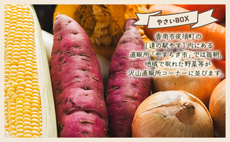 【６回定期便】やすらぎ市 産地直送やさいＢＯＸ（7種類前後） - 野菜 ベジタブル おまかせ 詰め合わせ セット 季節 旬 お任せ お楽しみ ヘルシー 国産 特産品 野菜定期便野菜定期便野菜定期便野菜