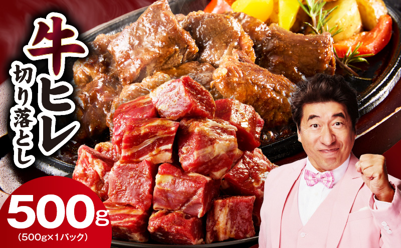 【お試し】牛ヒレ肉 切り落とし 500g【スピード発送 小分け 500g×1P 氷温熟成×特製ダレ サイズ不揃い やわらか ステーキ ひと口サイズ カット済み 大阪 泉佐野 大阪府 泉佐野市】