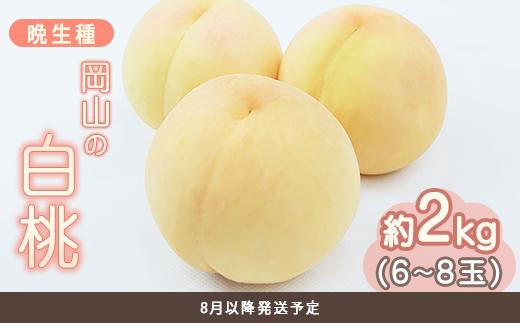 
                  岡山の白桃 晩生種 約2kg（6～8玉）
                