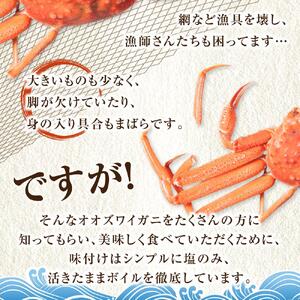 「訳あり」オオズワイガニボイル　6尾　合計約2.7kg ｜ オオズワイガニ