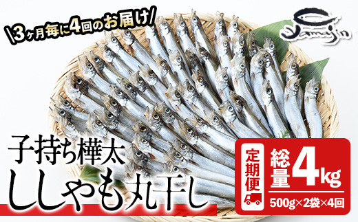 【定期便・全4回】3ヵ月に1回お届け！子持ち樺太ししゃも丸干し (総量4kg・1kg×4回) 干物 ししゃも シシャモ 丸干し 魚 海鮮 冷凍 大分県 佐伯市【AP86】【ヤマジン】