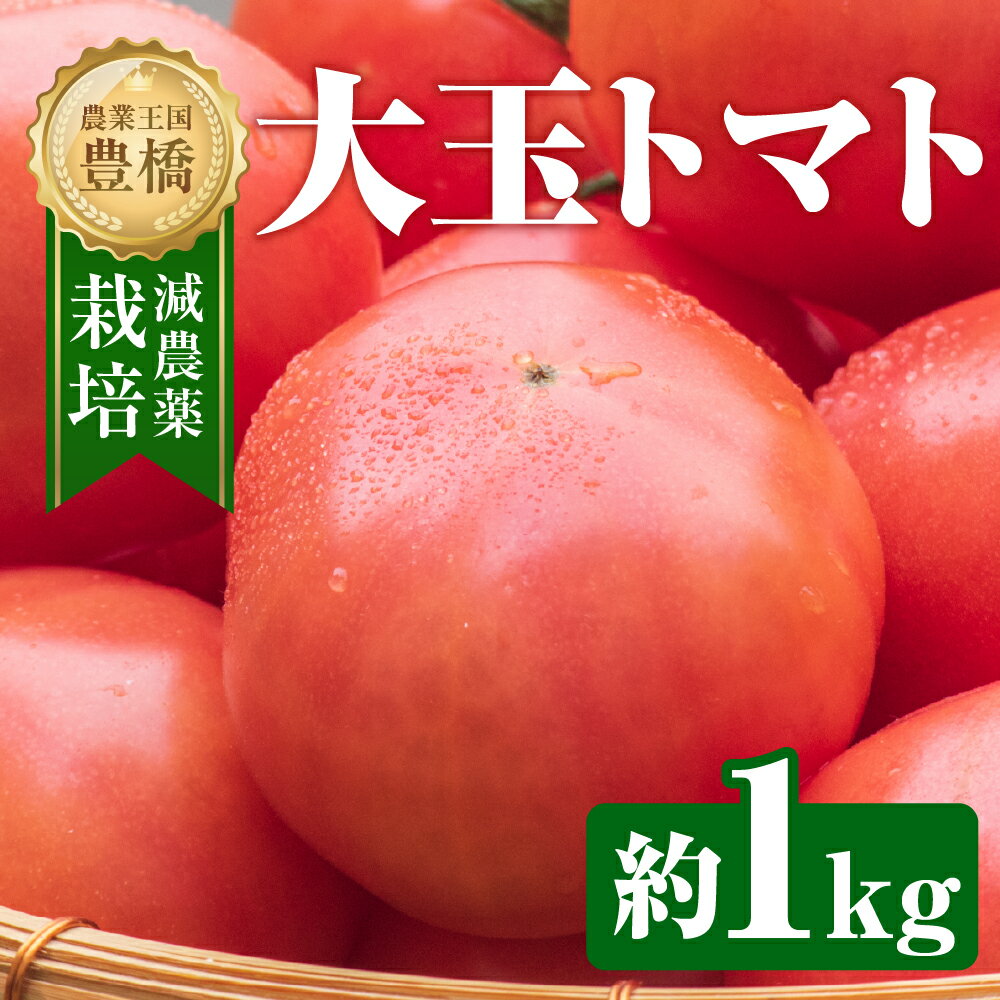 【ふるさと納税】大玉トマト 約 1kg トマト 大玉 濃厚 甘い 美味しい 高糖度 完熟 tomato とまと やさい 自然 安心安全 旬 送料無料 愛知県 豊橋市