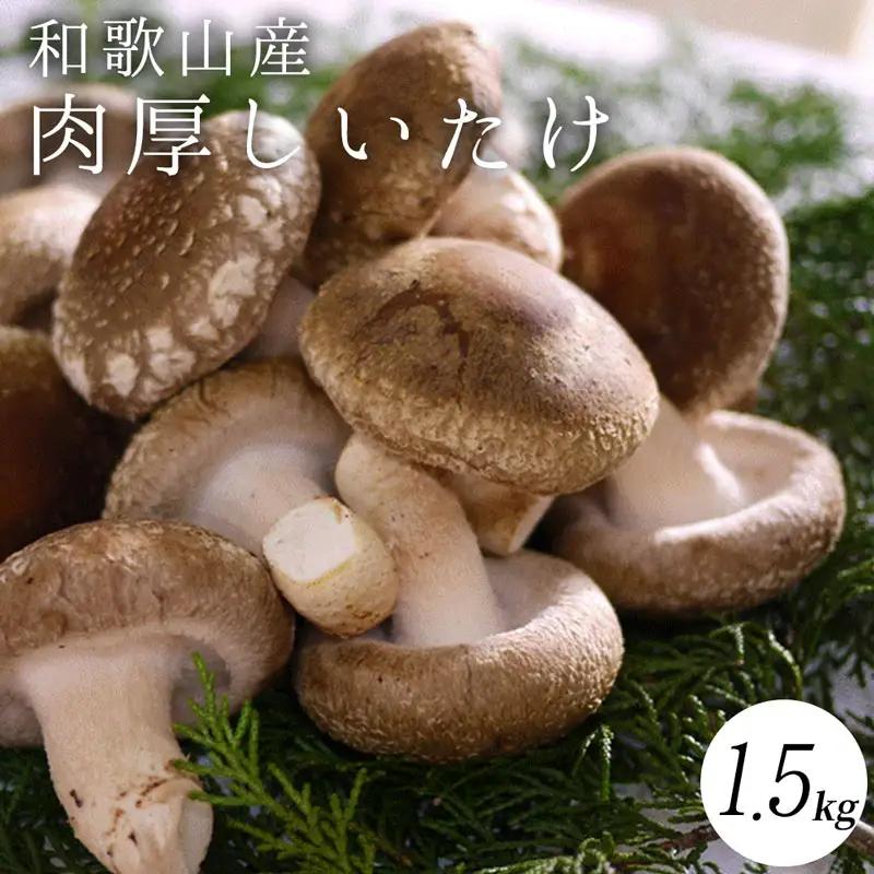 最高級 肉厚椎茸 清流椎茸 1kg (200g×5パック)_DM6003