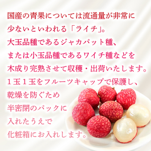 国産ライチ お試し160～170g【ライチ】