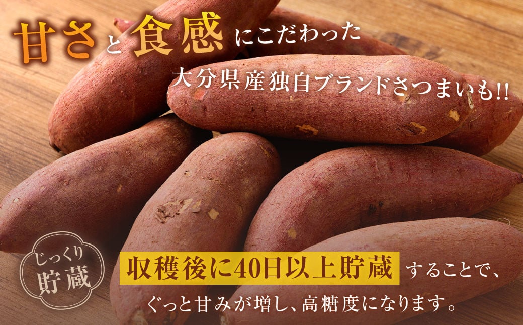 171-1134 【先行予約】 高糖度さつまいも 甘太くん 約1.2kg（Lサイズ2本・Mサイズ3本） サツマイモ 甘藷 かんしょ おやつ 焼き芋 【2024年11月下旬から2025年4月下旬発送予定