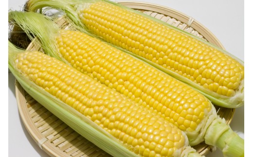 甘み、旨み、食感の良さの３拍子揃った恵味は、今注目の品種です。
