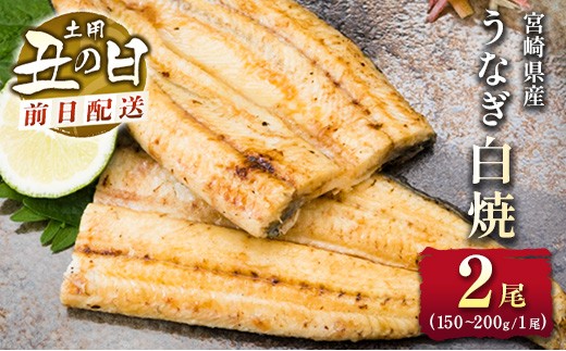 前日配送予約［土用丑の日］うなぎ白焼き 2尾 タレ付（150～200g/1尾あたり）※前日7月25日お届け 国産 有頭 熨斗 贈答品 ギフト 配送日指定可【N44-A26】