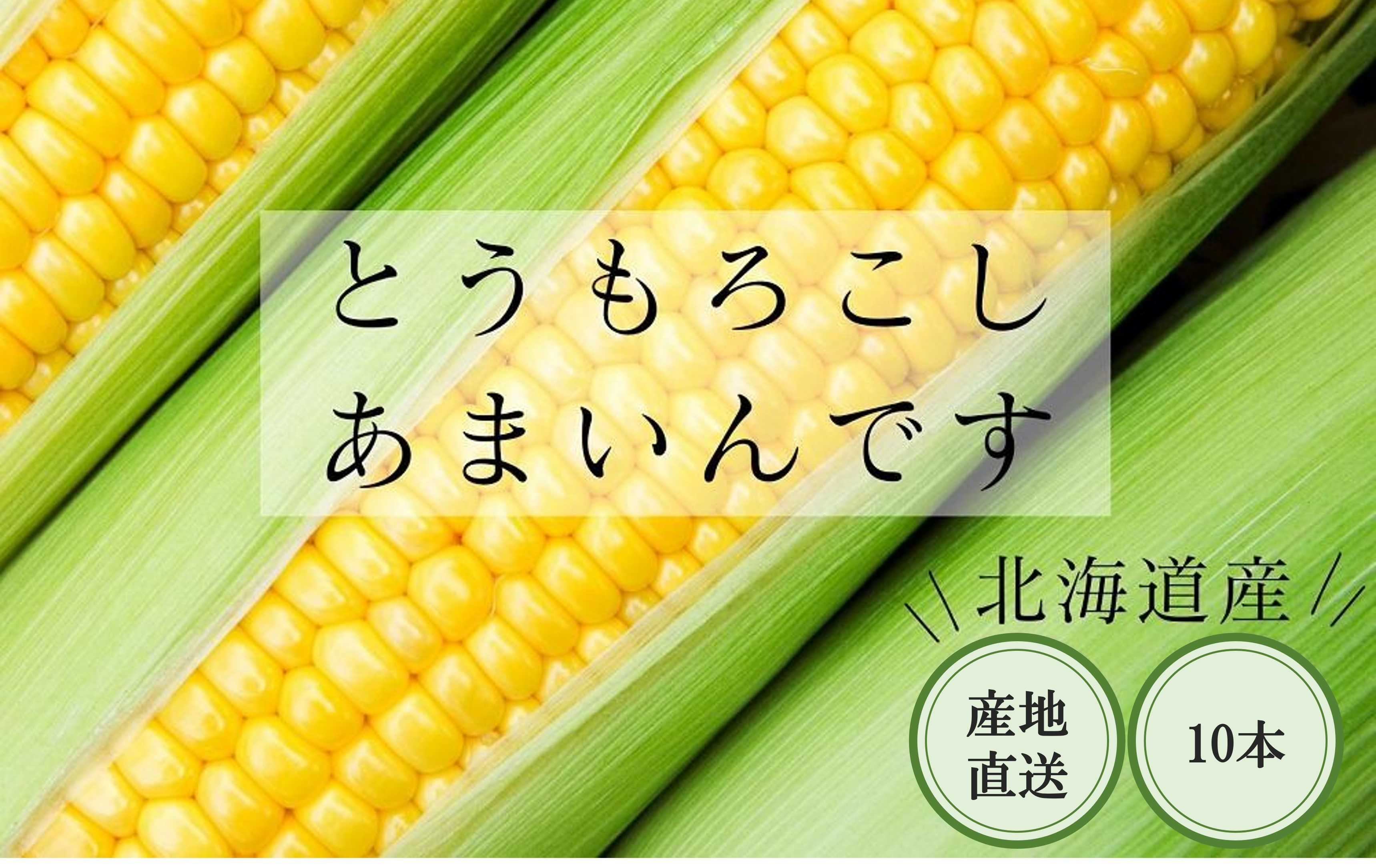 【2025年8月中旬より発送】とうもろこし（あまいんです）10本セット！