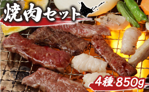 大畠精肉店 の 焼肉セット（計4種×850g） ｜ オンライン 申請 ふるさと納税 北海道 新十津川 焼肉セット 焼き肉セット カルビ サガリ タン ホルモン 食べ比べ 食べ比べセット 焼き肉 BBQ バーベキュー 冷凍 キャンプ アウトドア お取り寄せ 取り寄せ 新十津川町【1300901】