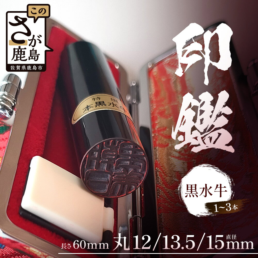 【ふるさと納税】 黒水牛 印鑑 専用ケース付 ｜1本 2本 3本 選べる本数 オーダーメイド セット 実印 銀行印 認印 手彫り仕上げ 印鑑 はんこ 高級 贈答 ギフト 御祝 成人祝 就職祝 結婚祝 佐賀県 鹿島市 G-76