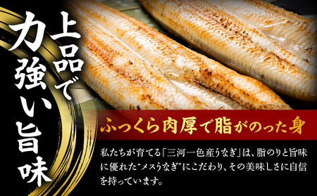 焼鰻特選メス妃うなぎ特大2尾　計340g　（白焼き・たれ付き）・Y098