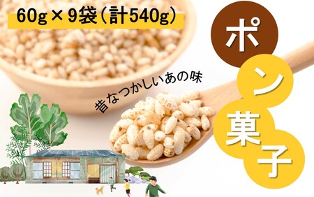 2384R_昔なつかしのポン菓子 60g×9袋 計540g