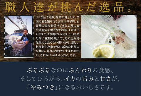 呼子萬坊いかしゅうまい3箱セット 呼子名物 惣菜 ギフト用 贈り物用「2024年 令和6年」
