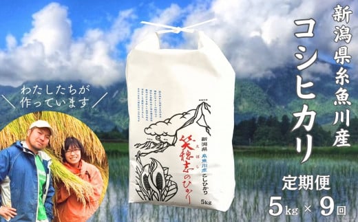 【定期便】コシヒカリ『笑穂志(えぼし)のひかり』5kg×9回 毎月お届け 全45kg（紙袋入り）令和5年産 U'ファーム【米 お米 白米 こめ コメ こしひかり 新潟県 糸魚川産 2023年産 食品 人気 おすすめ 9か月 9ヵ月 9ヶ月】