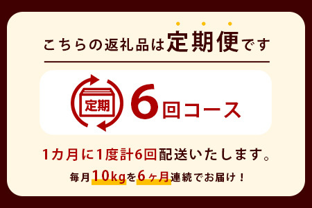 お米 白米 定期便6回 那賀町のお米 キヌヒカリ 定期便 米 お米 白米 精米 YS-19