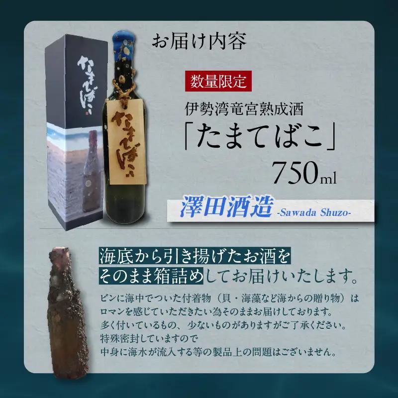【テレビで紹介！】伊勢湾竜宮熟成酒「たまてばこ」【澤田酒造】│日本酒 酒 常滑市