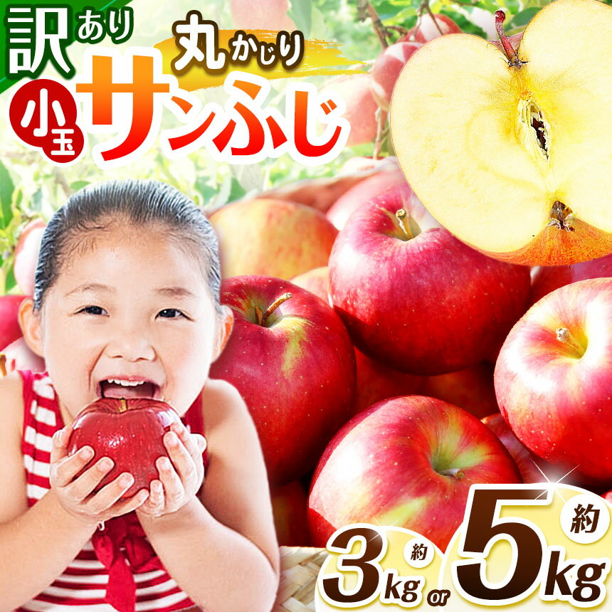 【ふるさと納税】【2025年先行予約】浅野農園 訳あり サンふじ 丸かじりSSサイズ 3kg ・ 5kg｜ リンゴ りんご 林檎 果物 くだもの フルーツ 果実 果汁 訳あり 小玉 丸かじり SSサイズ サンふじ 長野県 松川村 信州