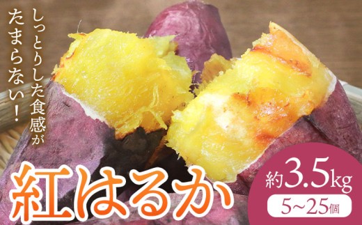 さつまいも 紅はるか 約3.5kg(5-25個) 株式会社GGYパッケージ《2025年11月下旬-2026年4月上旬頃出荷》熊本県 菊池市 さつまいも 紅はるか 芋 いも 野菜 国産 焼き芋 スイートポテト 芋ようかん 大学芋 干し芋 しっとり 旬 送料無料