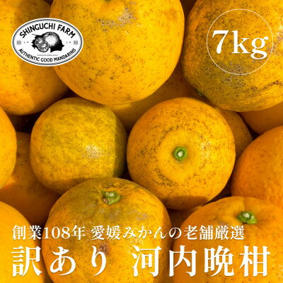 【ふるさと納税】創業百八年 愛媛みかんの老舗【河内晩柑 訳あり 7kg】新口農園【C70-45】【1537315】