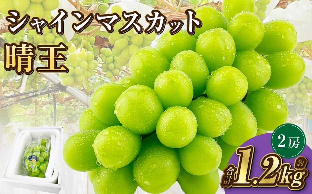 
            岡山県産 シャインマスカット 晴王 2房 約1.2kg【2026年9月上旬-10月下旬 発送予定】｜種無し 皮ごと食べる 旬の美味しさ フレッシュ 先行予約 ハレノフルーツ
          