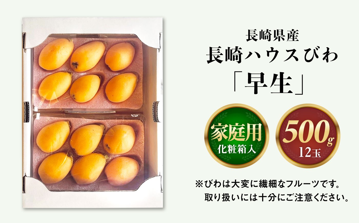 びわ ビワ 枇杷 果物 フルーツ 早生 わせ 果実 長崎県産 国産