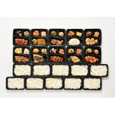 ふるさと納税 上越市 いろどりおかずプレートと新潟県産冷凍ごはんセット(おかず・ごはん 各10食)