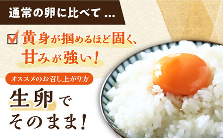 最高級 たまご 【3回定期便】かきやまの「地養卵」 Mサイズ 計180個（6個×30パック）＜垣山養鶏園＞[CBB014] 長崎 西海 生卵 たまご 鶏卵 卵 卵ギフト 卵 たまご 卵セット 卵焼き 