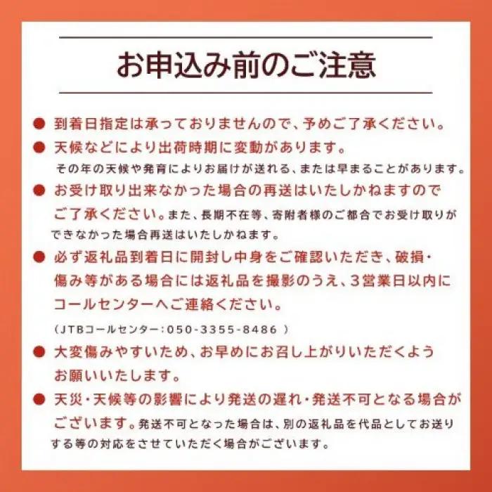 【先行予約】秋甘泉 3kg前後（3～11玉前後） ※2026年9月中旬～9月下旬頃に順次発送予定 梨