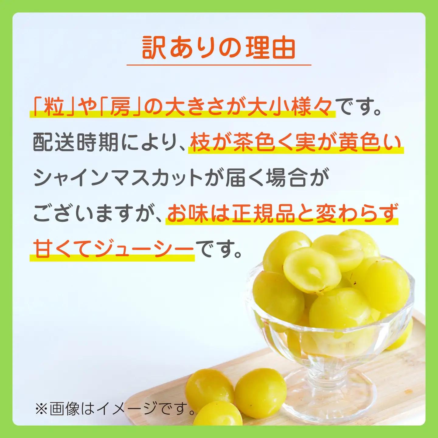 【訳あり】 シャインマスカット 約700g(1～2房)  マスカットフルーツ 果物 ぶどう【合同会社 社方園】[ZBZ027]