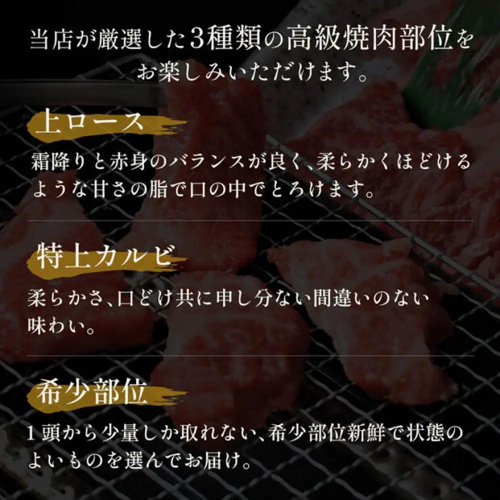 ＜ギフト＞特選上ロース特上カルビ＆希少部位入り焼肉セット(600g) 【鳥取県 境港市】