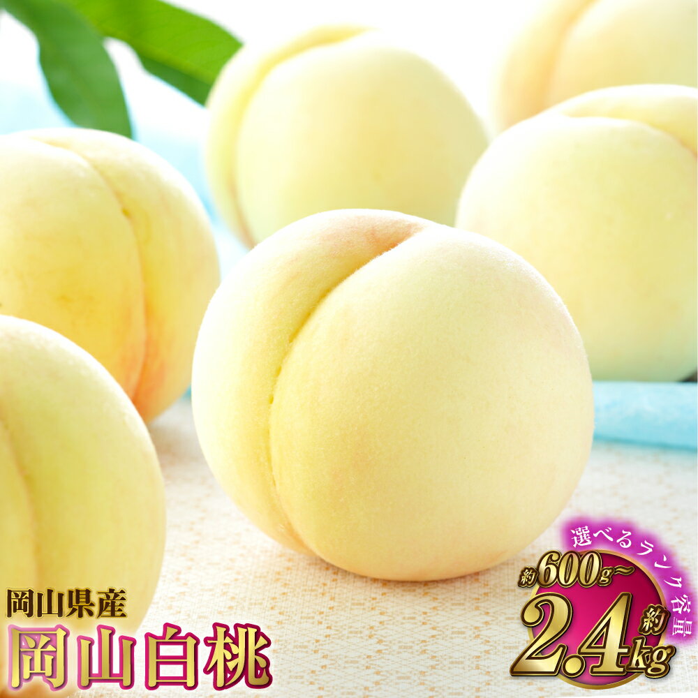 【ふるさと納税】【選べる品種と容量】岡山白桃 ロイヤル または エース 約600g～約2.4kg 桃 もも モモ 白桃 果物 くだもの フルーツ お取り寄せ 贈り物 ギフト 冷蔵 おかやま 岡山県 奈義町 送料無料 【2025年7月上旬～8月下旬発送予定】