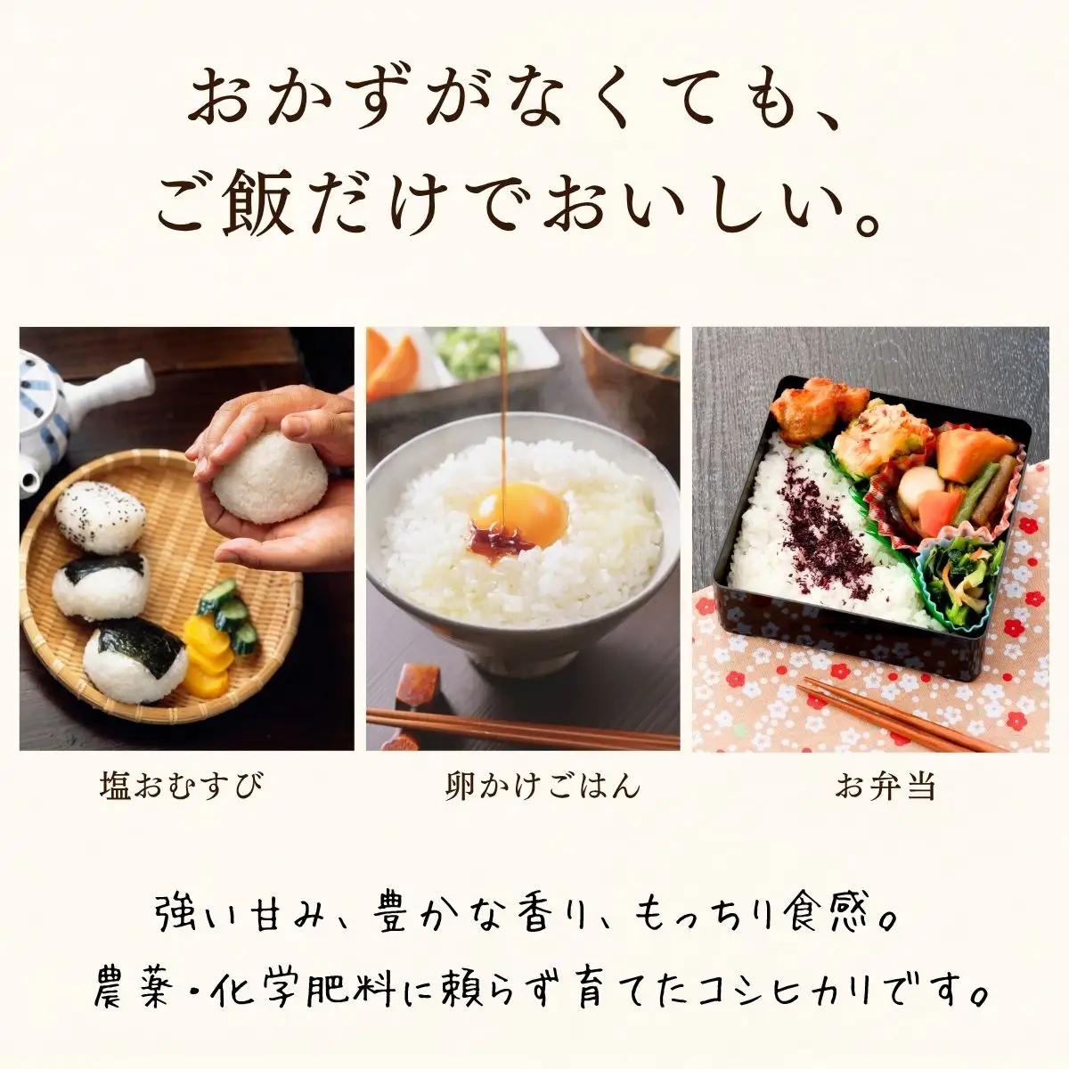 【新米予約】栽培期間中 農薬・化学肥料不使用 プレミアム米 こしひかり 5kg  豊米
