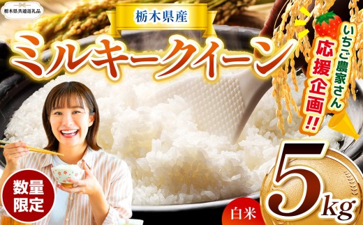 【栃木県共通返礼品】【先行予約】 訳あり 数量 限定 令和8年度産 ミルキークイーン 約 5kg | とちぎの星 ミルキークイーン  玄米 白米 ごはん おいしい  ふるさと納税 那珂川町 栃木県