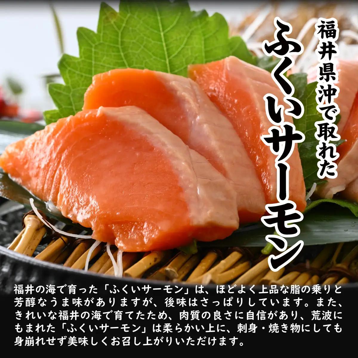 ふくい海の幸2点セットB 【ふくいサーモン するめ スルメ いか イカ 汐いか 冷凍】 [A-004011]