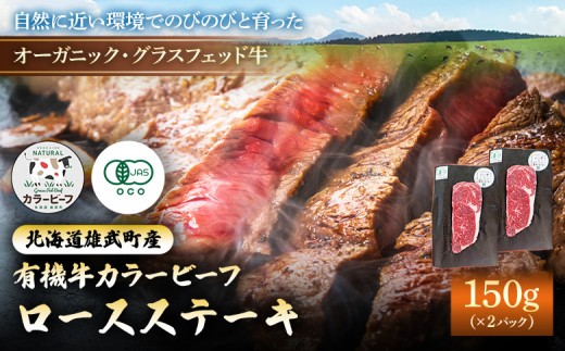 
                  雄武産有機牛カラービーフ ロースステーキ（150ｇｘ2枚）  | ふるさと納税 北海道 雄武 牛肉 有機牛 国産牛 カラービーフ 国産牛カラービーフ ロースステーキ 150ｇ 2枚 ３００g オーガニックグラスフェッド オーガニック オーガニックミート  有機JAS認定 有機JAS【16034AA0101】
                