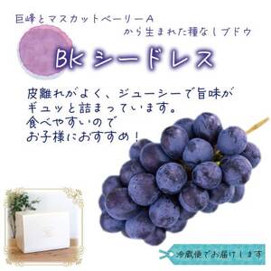 岡山　花笑み農園のブドウ『訳ありBKシードレス』1kg　WB-1【9月中旬～順次発送】【配送不可地域：離島】【1628322】