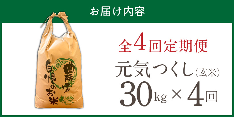 【定期便4回】【令和8年産 新米】福岡県産ブランド米元気つくし 玄米 30kg×4回 _  元気つくし 30kg お届け回数 4回 定期便 福岡県産 ブランド米 新米 福岡生まれ 品種 香り豊か ふっくら 食感 ご飯 おにぎり 弁当 お米 食品 お取り寄せ 九州 久留米市産 福岡県 久留米市 送料無料 _Tk118-04