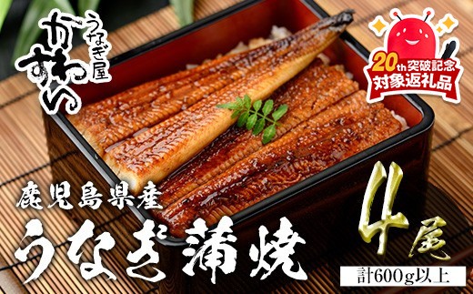 
                  ＜うなぎ屋かわすい＞鹿児島県産 国産うなぎ蒲焼 (計600g以上 / 1本あたり150～169g×4本) タレ入り 鰻 うな重 かばやき【川口水産】A856-v02
                