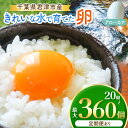 【ふるさと納税】【選べる容量・回数】きれいな水で育てた卵 アローカナ 20個 or 30個 | 保坂農場 あろーかな 卵 たまご 定期便 定期 3回 6回 12回 君津市産 千葉 君津 きみつ 房総