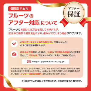 福岡ぶどう定期便【全3回】ぶどう食べ比べ便　JAふくおか八女からお届け！！　002-T002