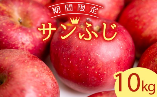 サンふじ 10kg（ 川崎町産 ）りんご apple リンゴ 林檎 果物 フルーツ デザート スイーツ 果樹園 国産 新鮮くだもの フルーツ  産地直送 ご家庭 贈答 人気 ギフト 旬 数量限定 福岡県 川崎町