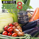 【ふるさと納税】農薬不使用 お野菜8品と黒にんにく味噌のセット - 送料無料 やさいセット 高知県産 旬の野菜 新鮮野菜 くろ ニンニク みそ ミソ ごはんのおとも ご飯のお供 おかず 調味料 隠し味 国産 特産品 高知県 香南市【冷蔵】pr-0012