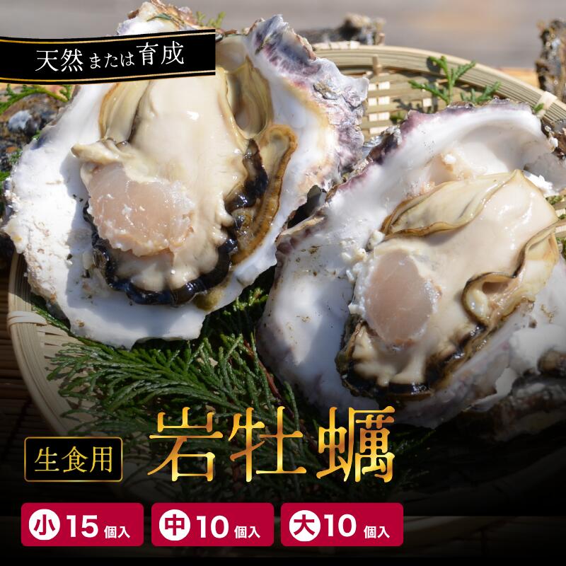 【ふるさと納税】 岩がき 小/中/大 10〜15個入 3〜4kg前後 生食用 京都府 舞鶴産 牡蠣 【〜8月中頃まで発送】 訳あり 天然 育成 養殖 岩牡蠣 牡蠣 いわがき 貝 海鮮 魚介類 舞鶴湾かき小屋 美味星