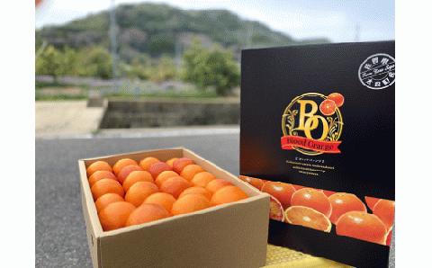 N-119 山内農園のブラッドオレンジ　５ｋｇ