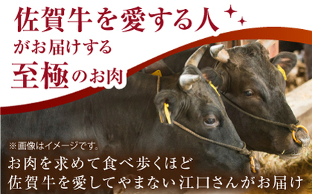 【肉の旨味を凝縮！】佐賀牛 赤身スライス 500g 【がばいフーズ】A5ランク 佐賀牛[HCS098]