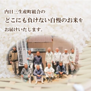 【令和7年産】 Wブレンド米 10kg 山口県産 米 下関 《内日三町：DZ》